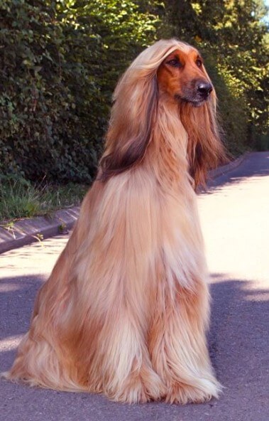 Gilari That’s Entertainment