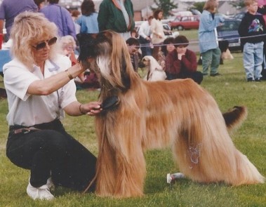 Gilari Double Strike JW