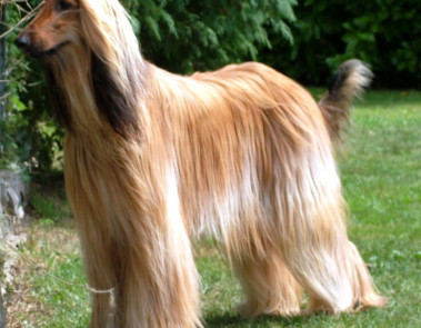 Renza Addicted to Red